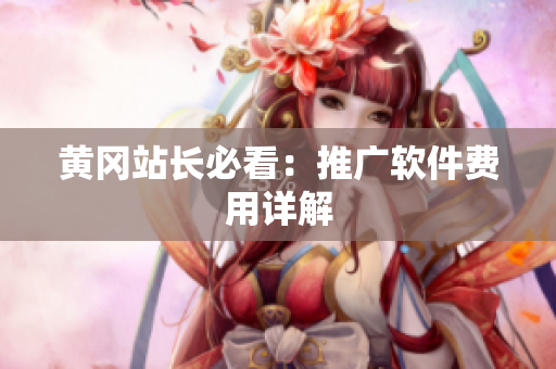 黄冈站长必看：推广软件费用详解