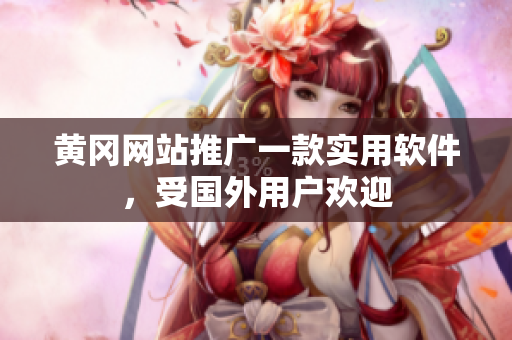 黄冈网站推广一款实用软件，受国外用户欢迎