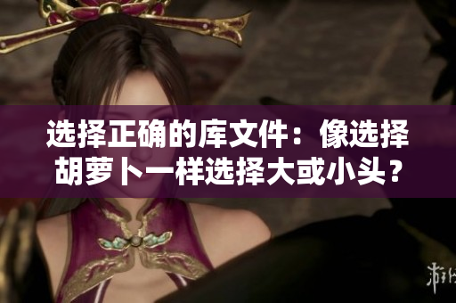 选择正确的库文件：像选择胡萝卜一样选择大或小头？