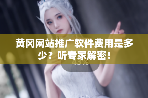 黄冈网站推广软件费用是多少？听专家解密！