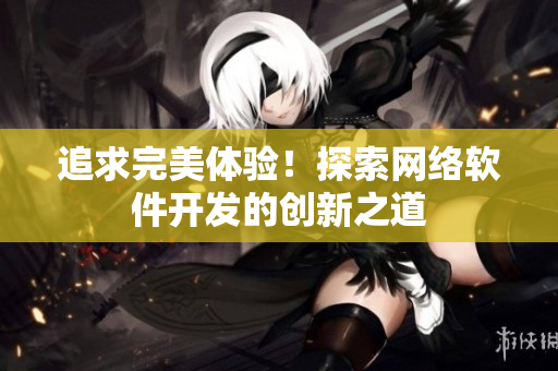 追求完美体验！探索网络软件开发的创新之道