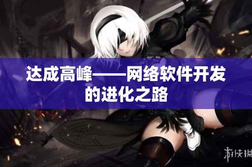 达成高峰——网络软件开发的进化之路