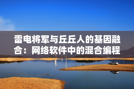 雷电将军与丘丘人的基因融合：网络软件中的混合编程。