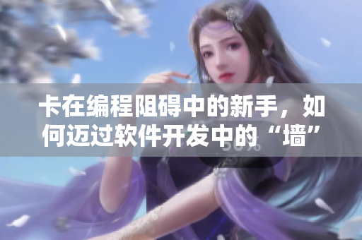 卡在编程阻碍中的新手，如何迈过软件开发中的“墙”？