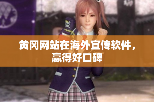 黄冈网站在海外宣传软件，赢得好口碑