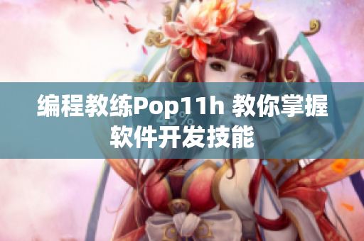 编程教练Pop11h 教你掌握软件开发技能