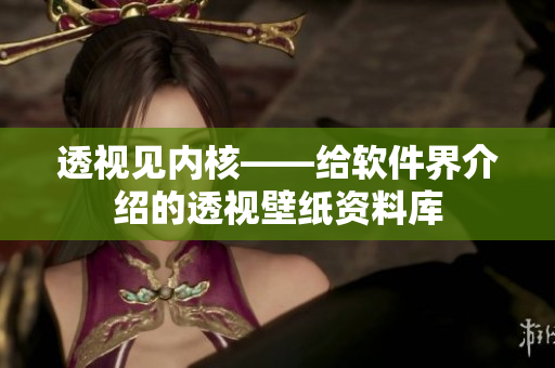 透视见内核——给软件界介绍的透视壁纸资料库