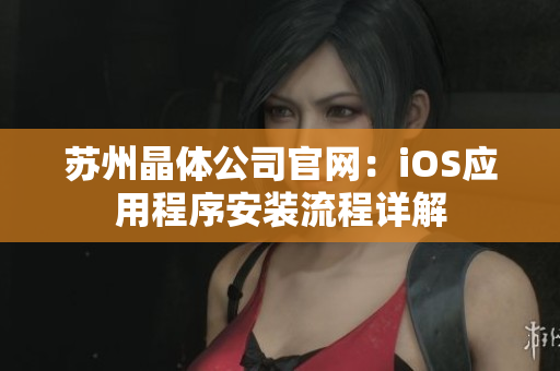 苏州晶体公司官网：iOS应用程序安装流程详解