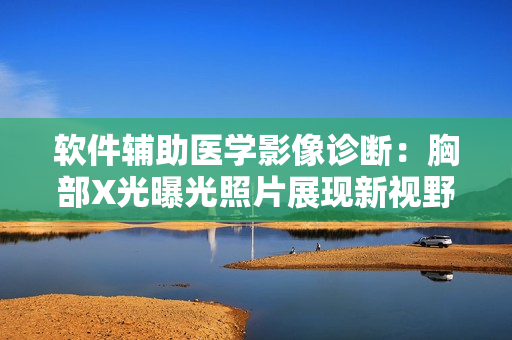 软件辅助医学影像诊断：胸部X光曝光照片展现新视野