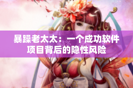 暴躁老太太：一个成功软件项目背后的隐性风险