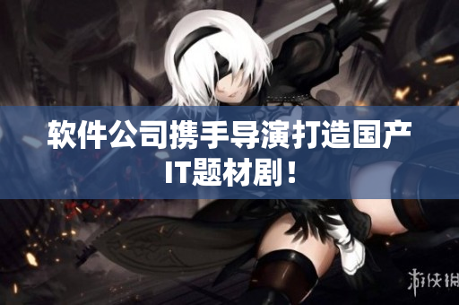 软件公司携手导演打造国产IT题材剧！