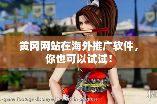 黄冈网站在海外推广软件，你也可以试试！