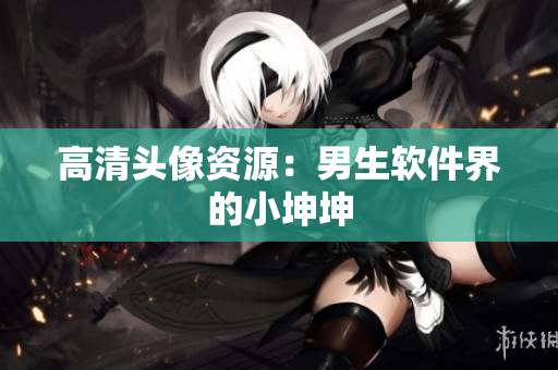 高清头像资源：男生软件界的小坤坤