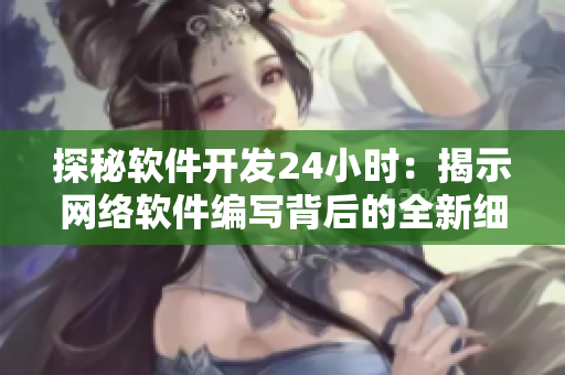 探秘软件开发24小时：揭示网络软件编写背后的全新细节