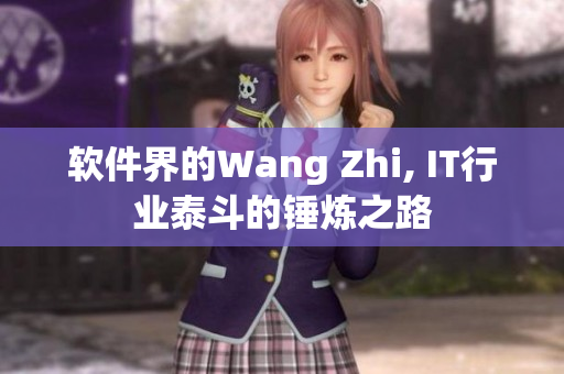软件界的Wang Zhi, IT行业泰斗的锤炼之路