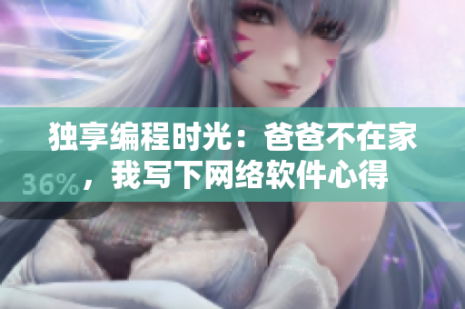 独享编程时光：爸爸不在家，我写下网络软件心得