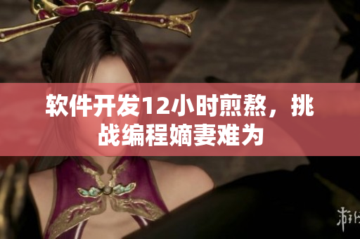 软件开发12小时煎熬，挑战编程嫡妻难为