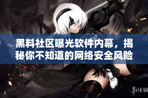 黑料社区曝光软件内幕，揭秘你不知道的网络安全风险