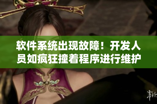 软件系统出现故障！开发人员如疯狂撞着程序进行维护