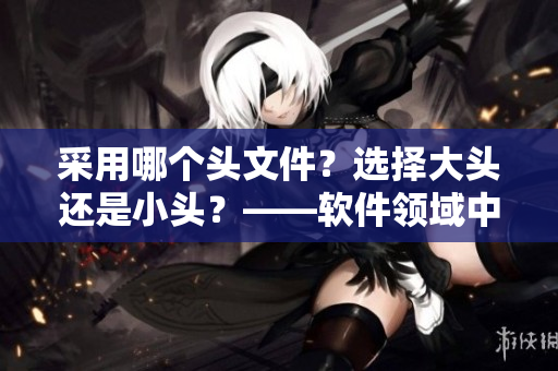 采用哪个头文件？选择大头还是小头？——软件领域中的头文件选择问题