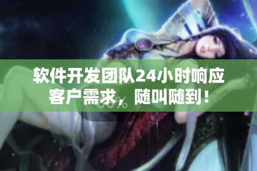 软件开发团队24小时响应客户需求，随叫随到！