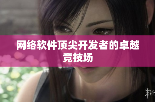 网络软件顶尖开发者的卓越竞技场