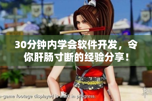30分钟内学会软件开发，令你肝肠寸断的经验分享！