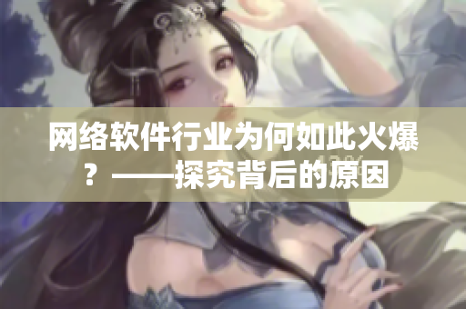网络软件行业为何如此火爆？——探究背后的原因