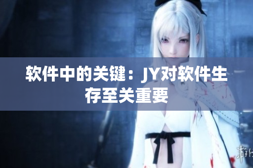 软件中的关键：JY对软件生存至关重要