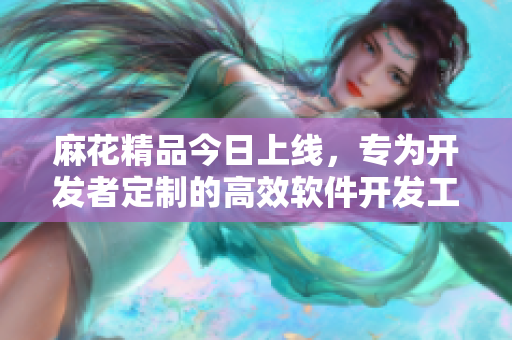 麻花精品今日上线，专为开发者定制的高效软件开发工具