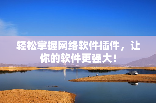 轻松掌握网络软件插件，让你的软件更强大！