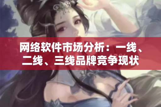 网络软件市场分析：一线、二线、三线品牌竞争现状