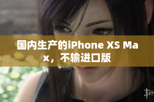 国内生产的iPhone XS Max，不输进口版