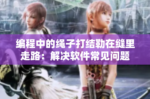 编程中的绳子打结勒在缝里走路：解决软件常见问题