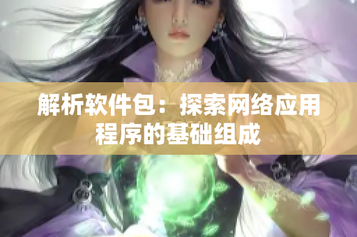 解析软件包：探索网络应用程序的基础组成