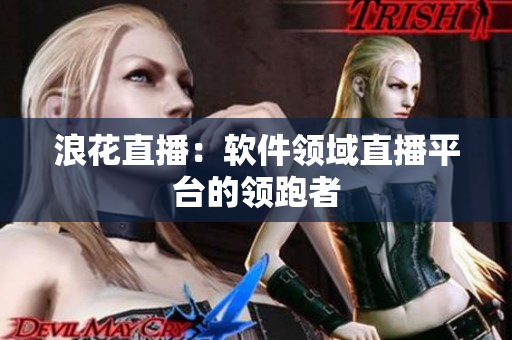 浪花直播：软件领域直播平台的领跑者