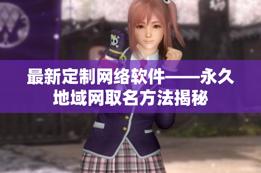 最新定制网络软件——永久地域网取名方法揭秘