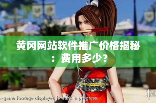 黄冈网站软件推广价格揭秘：费用多少？