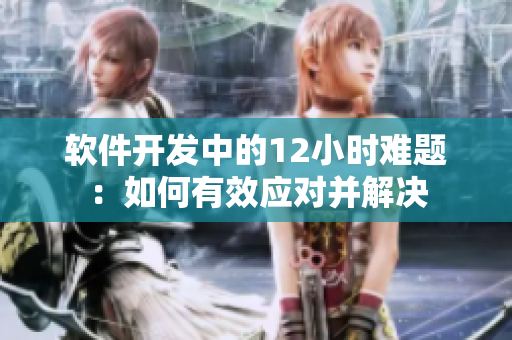 软件开发中的12小时难题：如何有效应对并解决