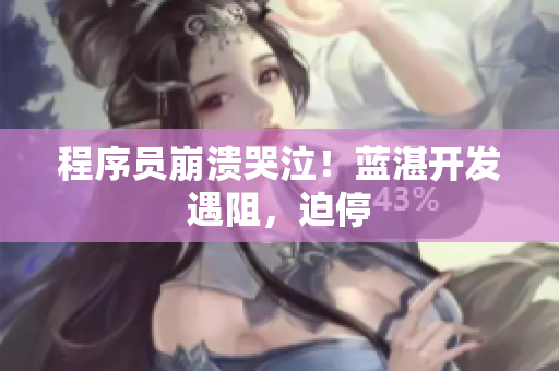 程序员崩溃哭泣！蓝湛开发遇阻，迫停