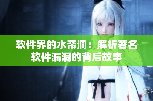 软件界的水帘洞：解析著名软件漏洞的背后故事