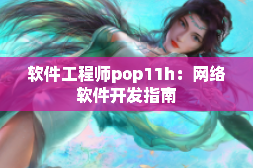 软件工程师pop11h：网络软件开发指南