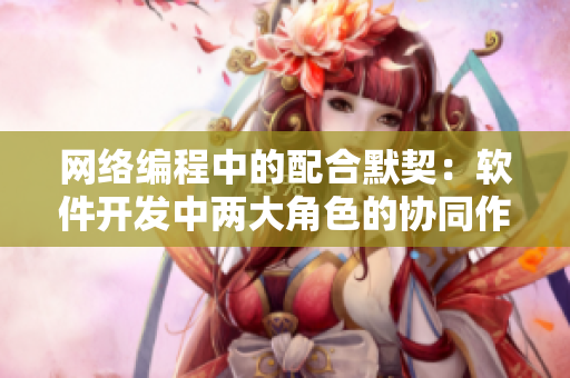网络编程中的配合默契：软件开发中两大角色的协同作战
