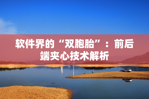 软件界的“双胞胎”：前后端夹心技术解析
