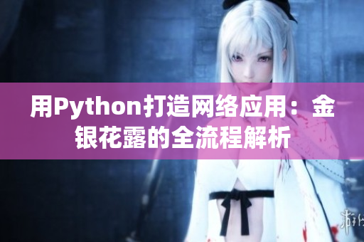 用Python打造网络应用：金银花露的全流程解析