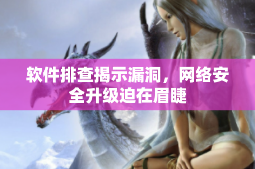 软件排查揭示漏洞，网络安全升级迫在眉睫