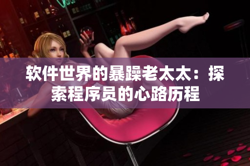 软件世界的暴躁老太太：探索程序员的心路历程