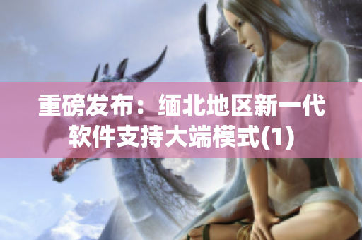 重磅发布：缅北地区新一代软件支持大端模式(1)