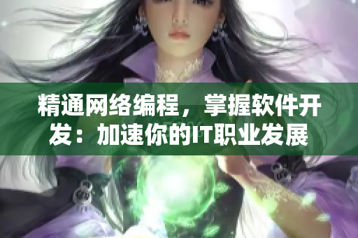 精通网络编程，掌握软件开发：加速你的IT职业发展