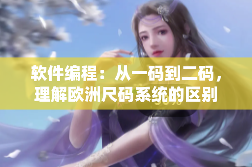 软件编程：从一码到二码，理解欧洲尺码系统的区别